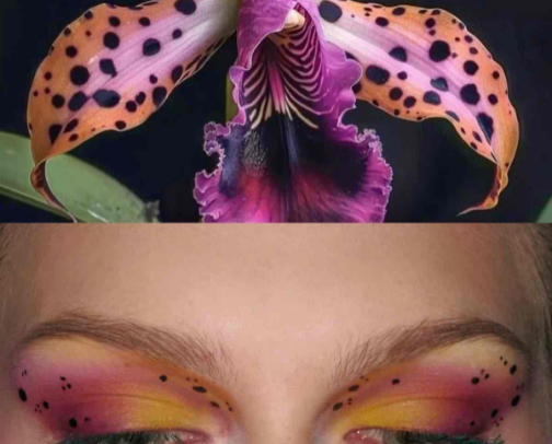 Makeup cover photo collage