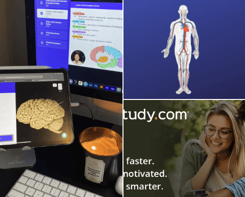 Anatomy and physiology study resources and courses cover photo collage