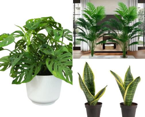 Plants make everything better cover photo collage