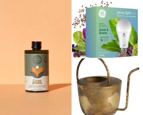 HELP YOUR PLANTS! cover photo collage