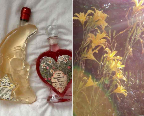 perfumes to feel in your divine feminine era ✨ cover photo collage