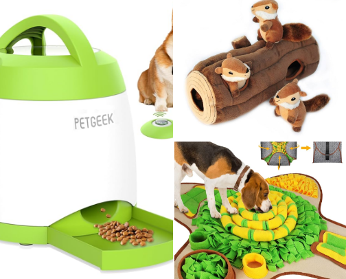 brain games for your dog! cover photo collage