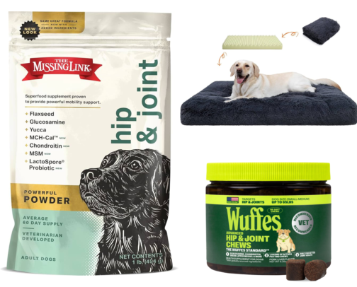 Dog Must-Haves Every Pet Owner Needs 🐾 cover photo collage