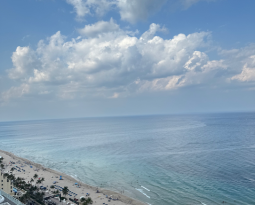 Places to eat & things to do in MIAMI 🌴 cover photo collage