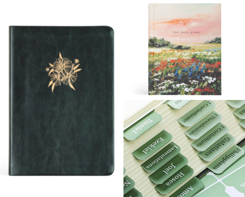 what’s in my Bible bag?!🫶🏼 cover photo collage