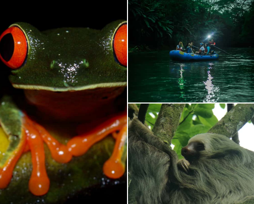Must-Do Activities in La Fortuna, Costa Rica cover photo collage