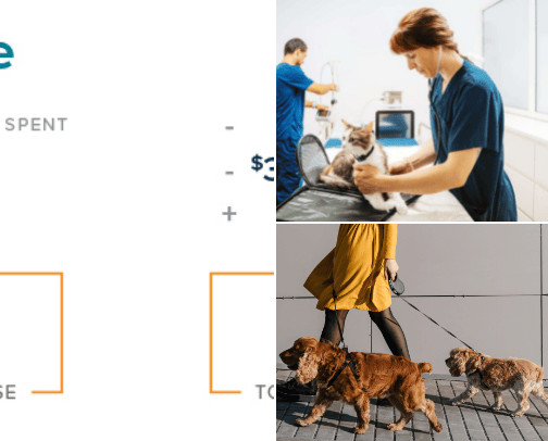 Pets Best cover photo collage