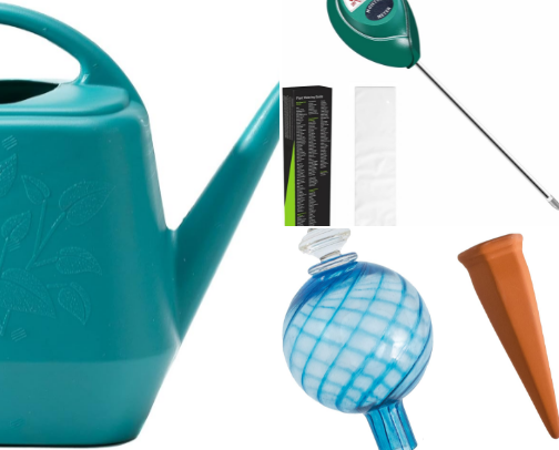 Beginner Houseplant Care Kit: Everything You Need to Keep Your First Plants Alive cover photo collage