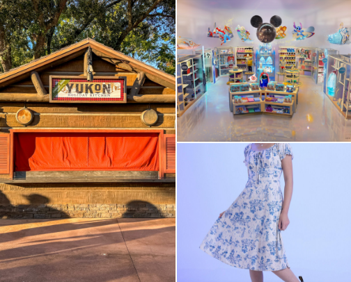 Disney Obssesion cover photo collage