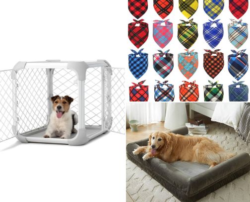 Favorite Dog Things cover photo collage