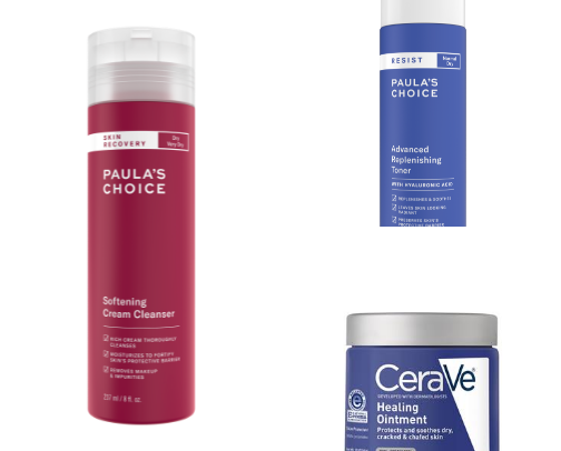 Accutane Survival Guide cover photo collage