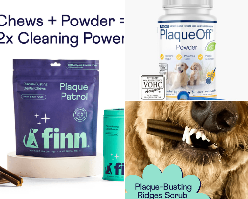 Dog Dental Care that Actually Works cover photo collage
