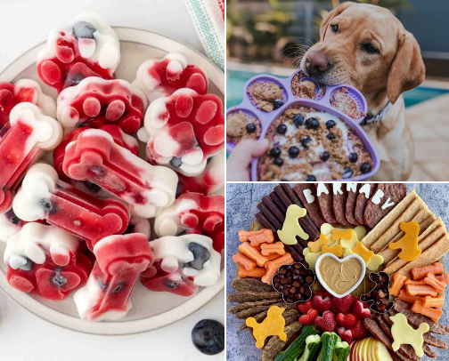 Dog friendly recipes 🫐 cover photo collage