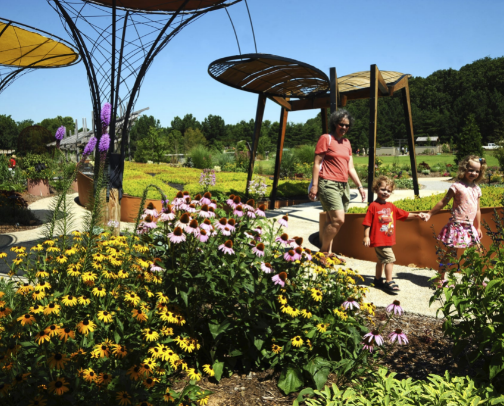 Things to Do in Northwest Arkansas cover photo collage