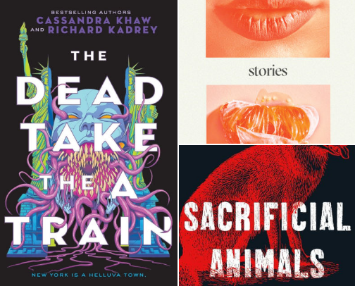 Queer Experiences and Novels! cover photo collage