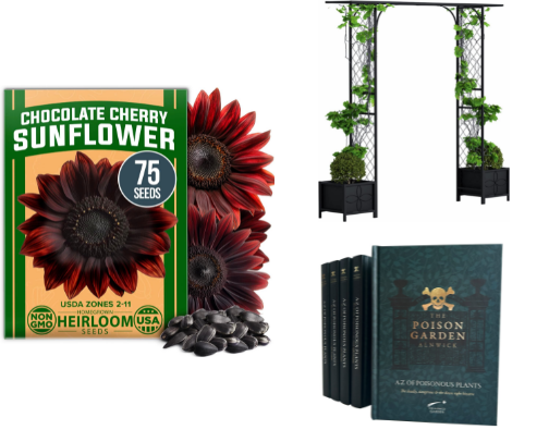 Dark Romance Garden cover photo collage