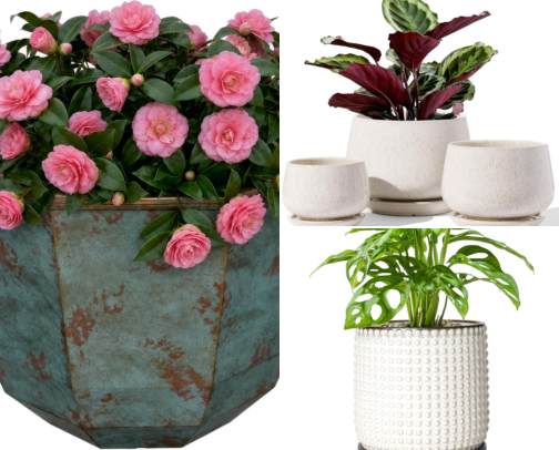 Stylish Home and Garden Gifts for the Hostess cover photo collage