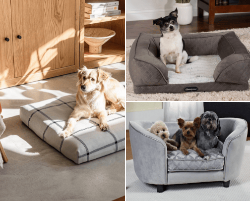 • Pet beds cover photo collage