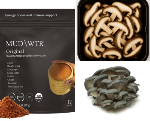 Mushrooms for clear skin, gut health, energy, immunity and focus cover photo collage