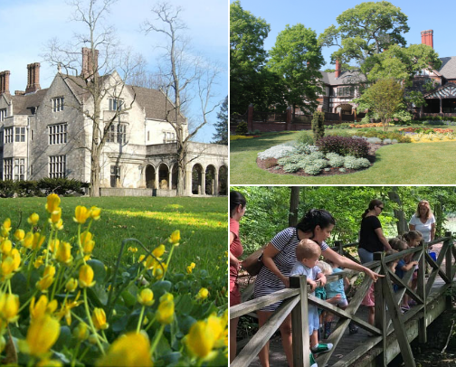 🌳 Long Island Arboretums, Botanical Gardens, and Nature Preserves 🌳 cover photo collage