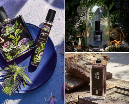 ☾⋆⁺₊✧ Scents That Smell Like Witchcraft ✧₊⁺⋆☽ cover photo collage