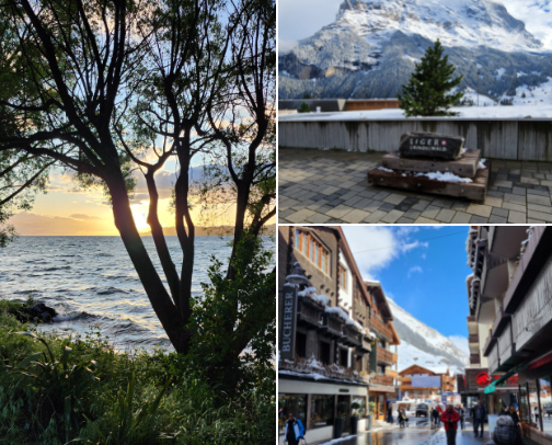 ✈️ All Things Travel (Essentials I Actually Use) cover photo collage