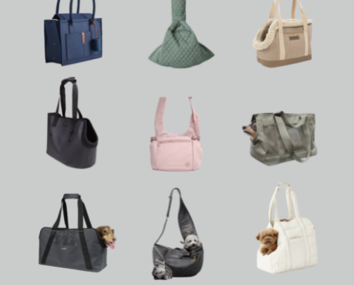 Stylish Everyday Dog Carriers cover photo collage
