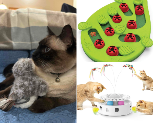 Toys Even Your Lazy Cats Will Love cover photo collage