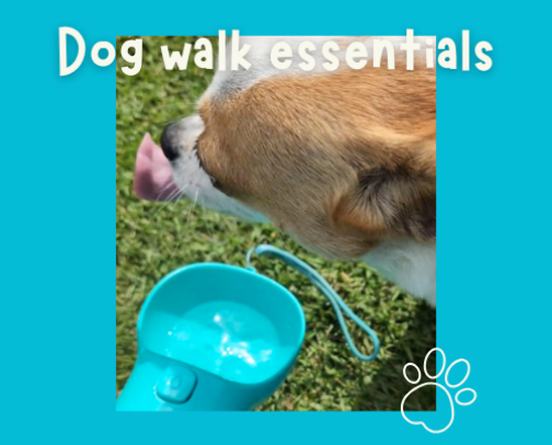 Dog Walk Essentials | Amazon Finds for Small Dogs cover photo collage