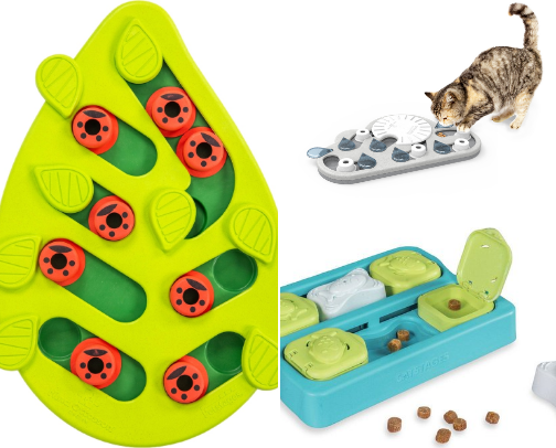 Cat enrichment toys that will entertain even the laziest of kitties cover photo collage