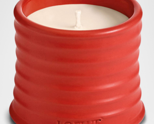 2025 Christmas Gift Guide cover photo collage