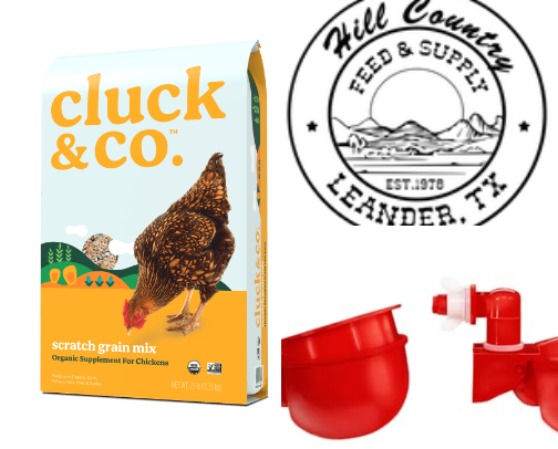 Chickens cover photo collage