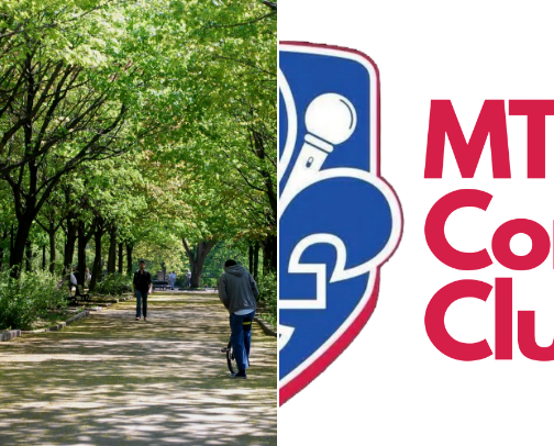 My top Montréal recs cover photo collage