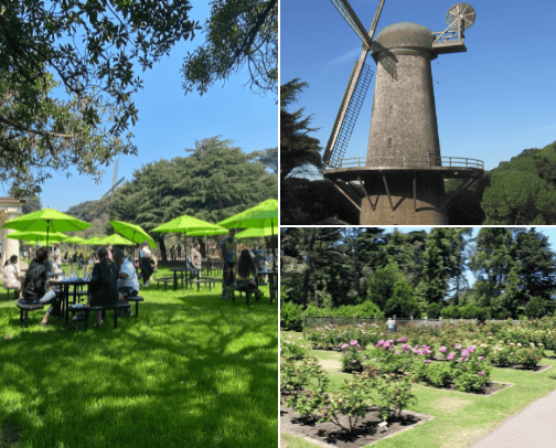 Your Golden Gate Park Next Level Experience cover photo collage