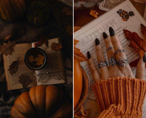 You Can Never Have Enough Books - Fall 2025 Releases cover photo collage
