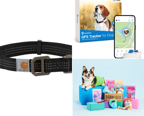 Best things for my dog! cover photo collage