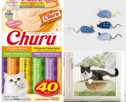 Pets cover photo collage