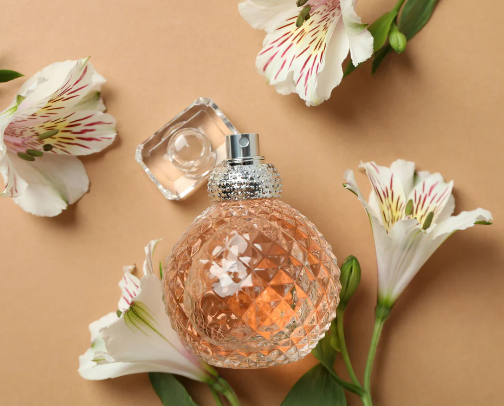 Perfumes that will receive compliments! cover photo collage