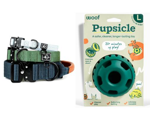 My Dog's Non-Negotiable's cover photo collage