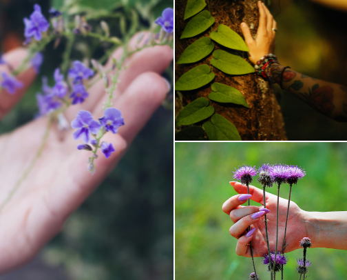Nature's Healing Touch cover photo collage