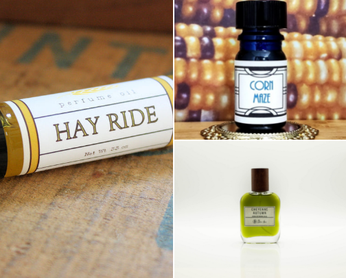 Autumn Fragrances: Hay Rides & Corn Mazes Edition 🌽🌾 cover photo collage