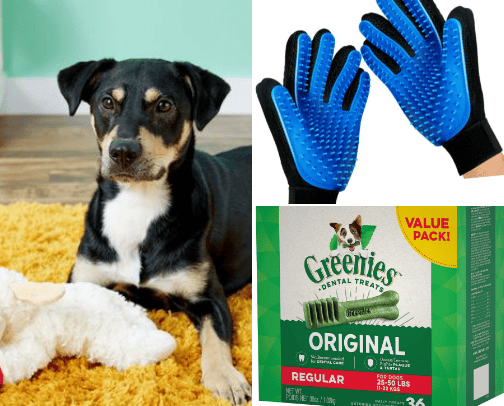 Pet Must Haves! cover photo collage