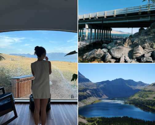 Montana cover photo collage