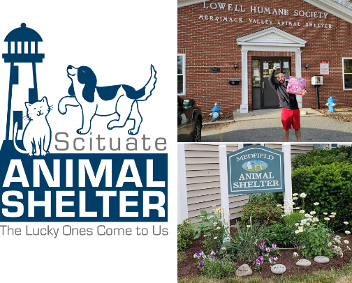 Best Massachusetts Rescues and Shelters cover photo collage