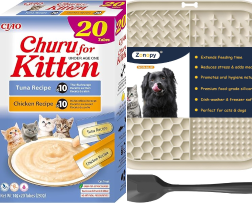 food & training for picky princess kittens 🐱 cover photo collage