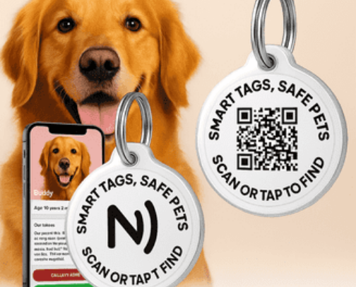 New Puppy Starter Kit: Everything You Need Before Bringing Your Puppy Home cover photo collage