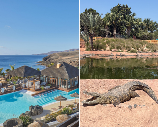 My Top Travel Spots ✈️ 🌴 cover photo collage