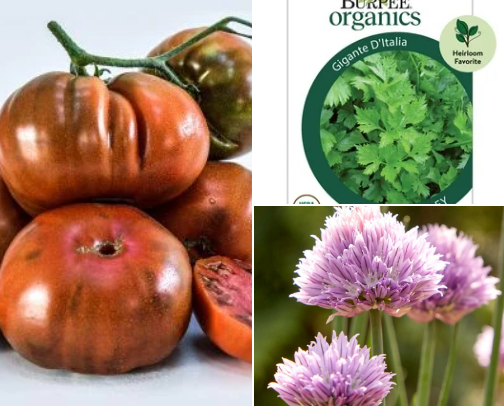 Awesome Home Garden Resources for Spring 2026 cover photo collage