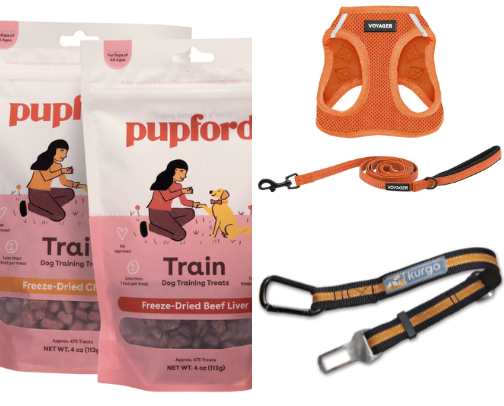 Dog Travel Essentials cover photo collage