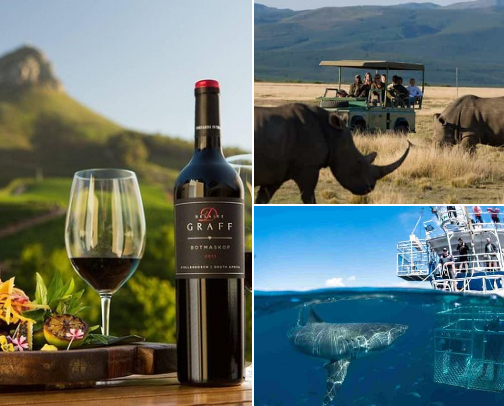 Dreaming of South Africa? Check out my Ultimate 10 Day Itinerary! cover photo collage